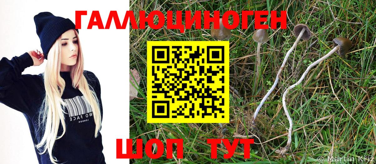 Галлюциногенные грибы ЛСД Сургут