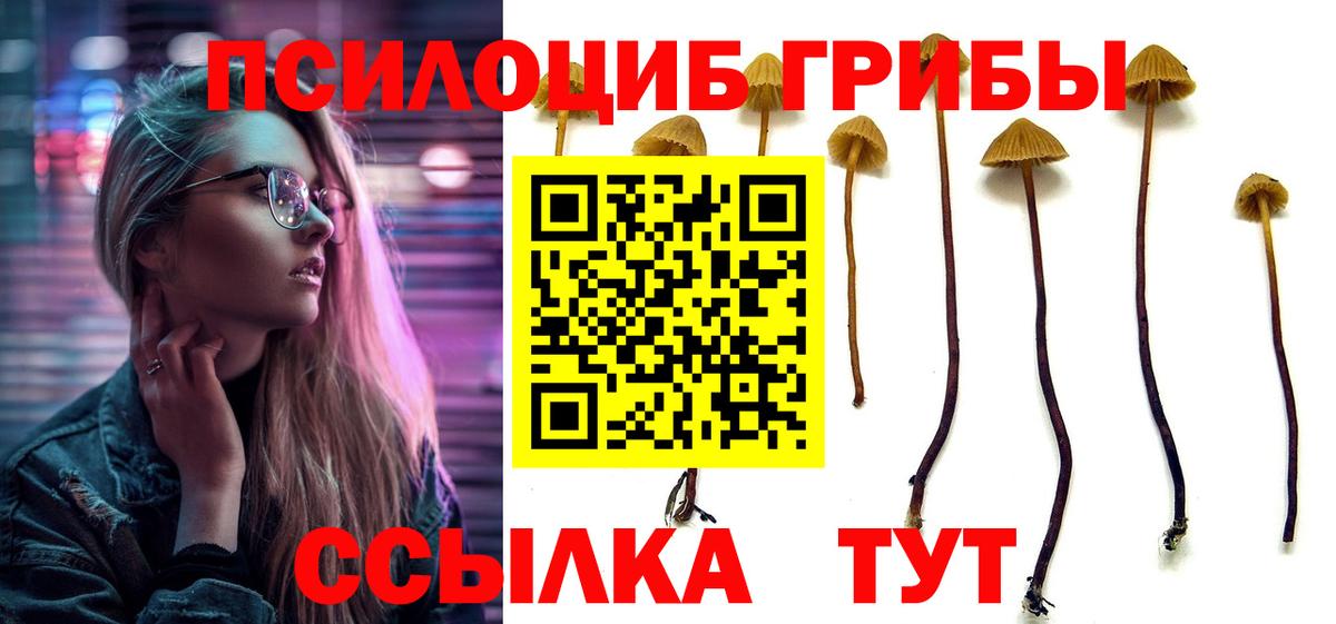 Сургут  Галлюциногенные грибы мухоморы  Вход с VPN 